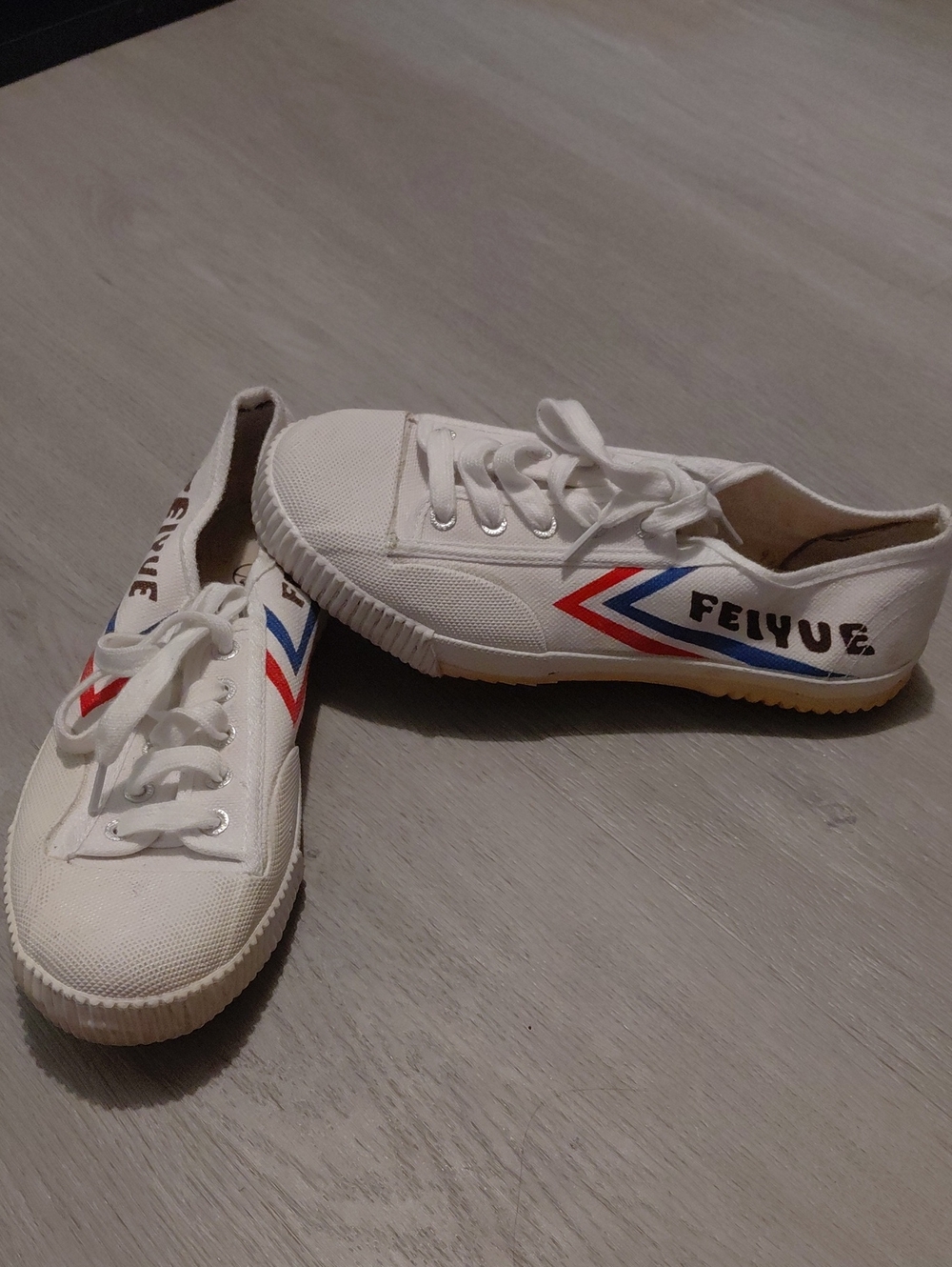 Feiyue White Canvas Sneakers with Red & Blue Chevron Detail